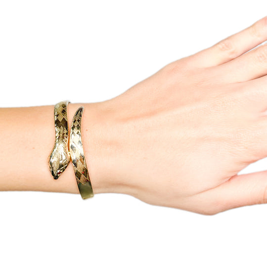 9ct Garnet Snake Bangle
