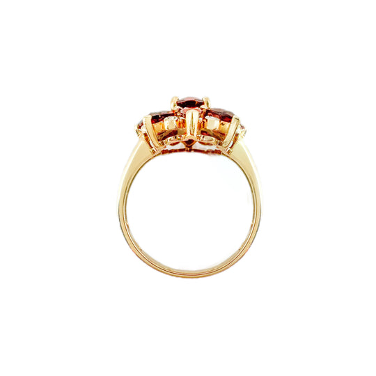 9ct Garnet & Diamond Ring